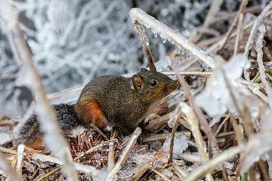 2022年TGA将恢复线下 12月8日举行