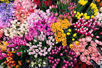 RPG《goHELLgo去地狱》3＆28推出 登陆PS4＆NS＆PC